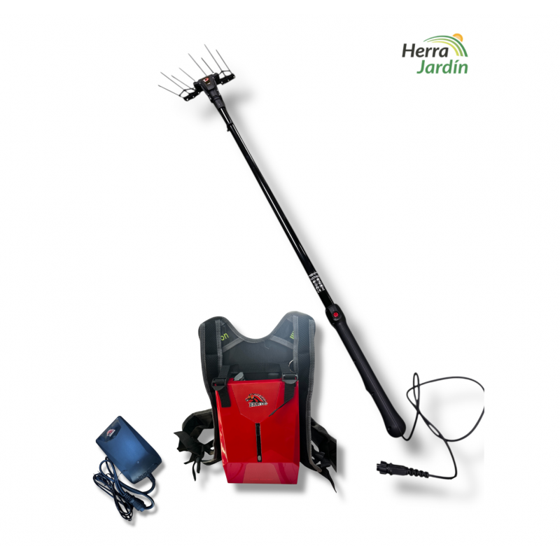 Vareador de Aceitunas a Batería BRACOG BT2A-1 - Principal Vareador de Aceitunas a Batería BRACOG BT2A-1 - Principal