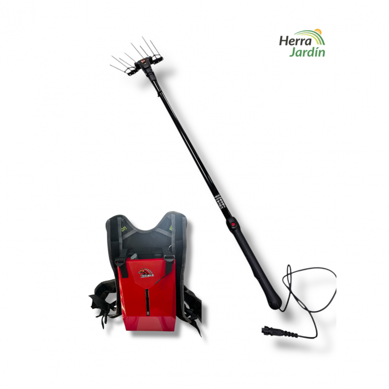 Vareador de Aceitunas a Batería BRACOG BT2A-1 - Vareador + Batería Vareador de Aceitunas a Batería BRACOG BT2A-1 - Vareador + Batería