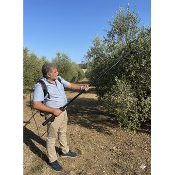 Vareador de Aceitunas a Batería BRACOG BT2A-1 - Vareando Olivos Vareador de Aceitunas a Batería BRACOG BT2A-1 - Vareando Olivos